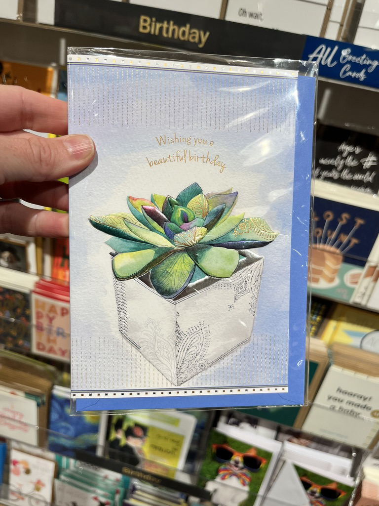 Licensed greeting card with succulent design held in a retail store